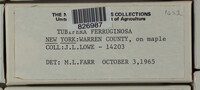 Image Associated With the Occurence